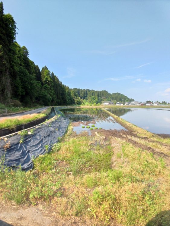 変形地